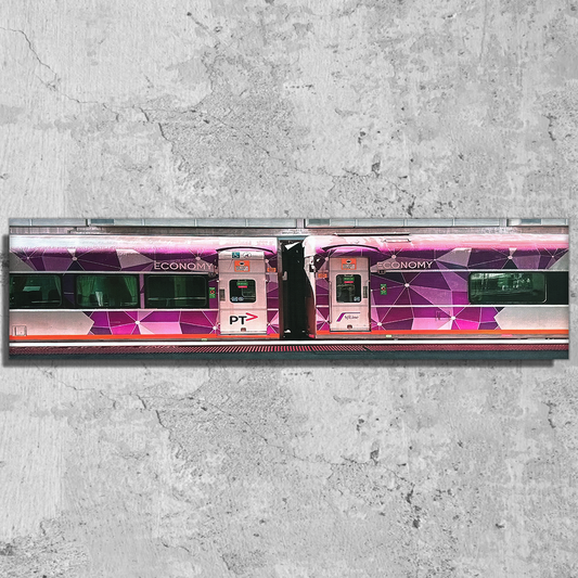 Melbourne V/Line 'H TYPE' Train Canvas
